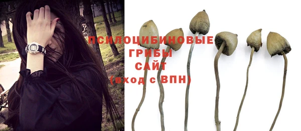 прущие крисы Корсаков